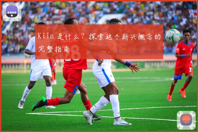 Kiin 是什么？探索这个新兴概念的完整指南