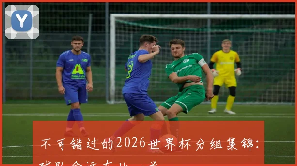不可错过的2026世界杯分组集锦：球队命运在此一举