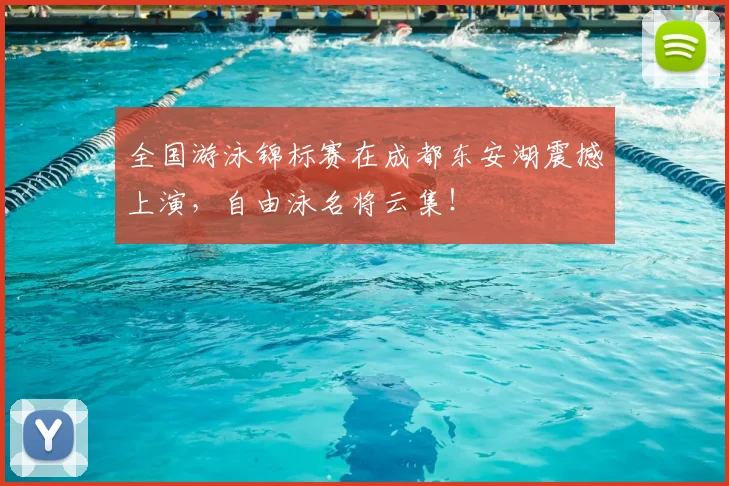 全国游泳锦标赛在成都东安湖震撼上演，自由泳名将云集！
